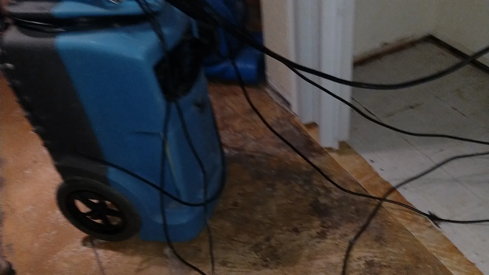 Water Restoration in North Texas, extraction, drying and rebuild.