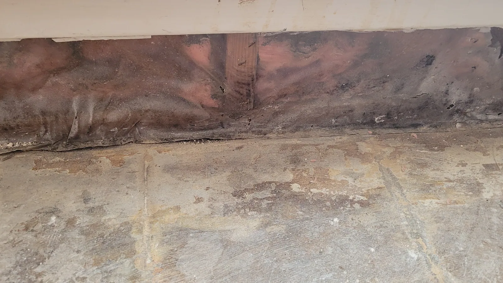 Water Restoration in North Texas, extraction, drying and rebuild.